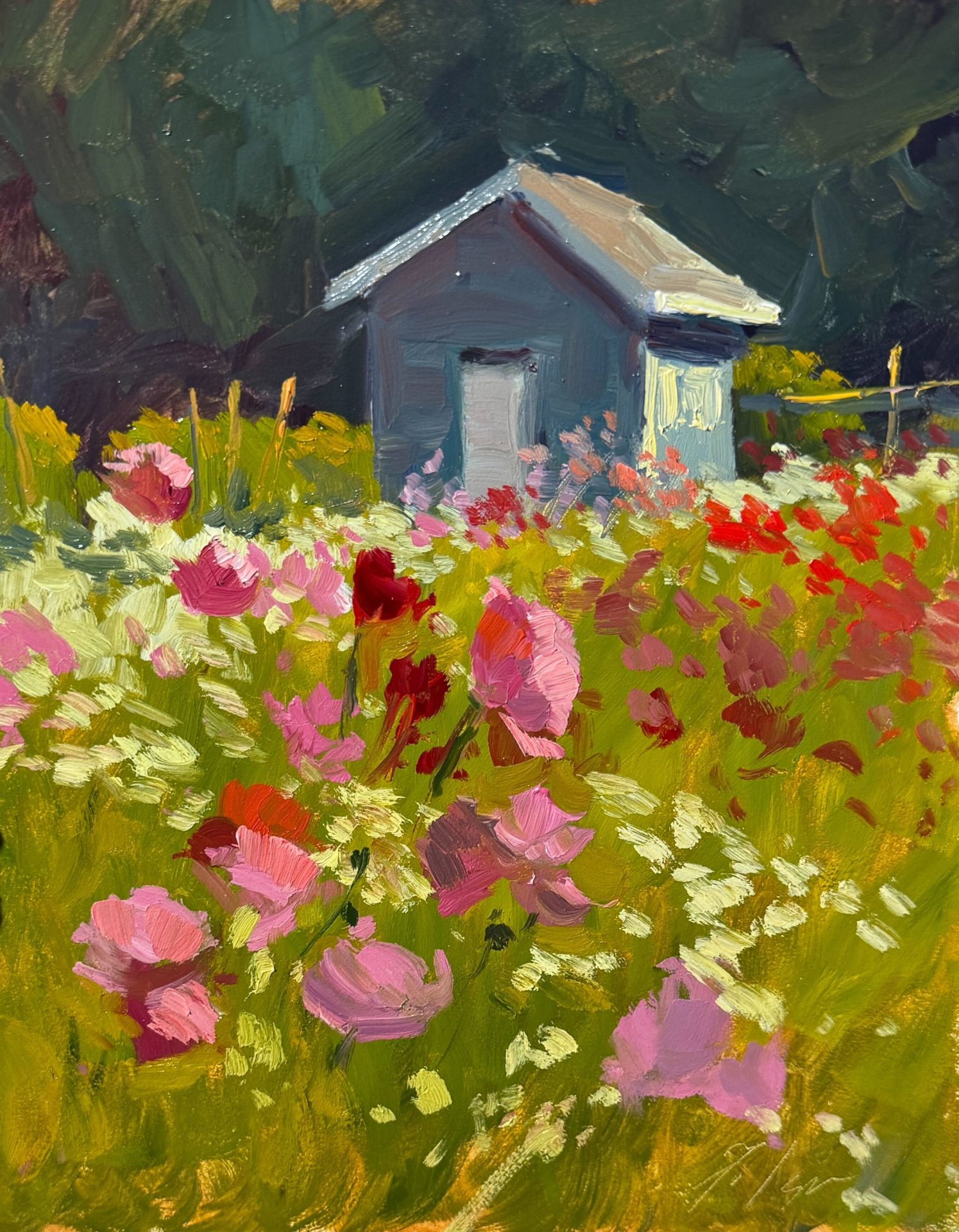 Vibrant oil painting of a blooming poppy garden with pink, red, and white wildflowers in the foreground and a rustic blue garden shed nestled among trees in the background.