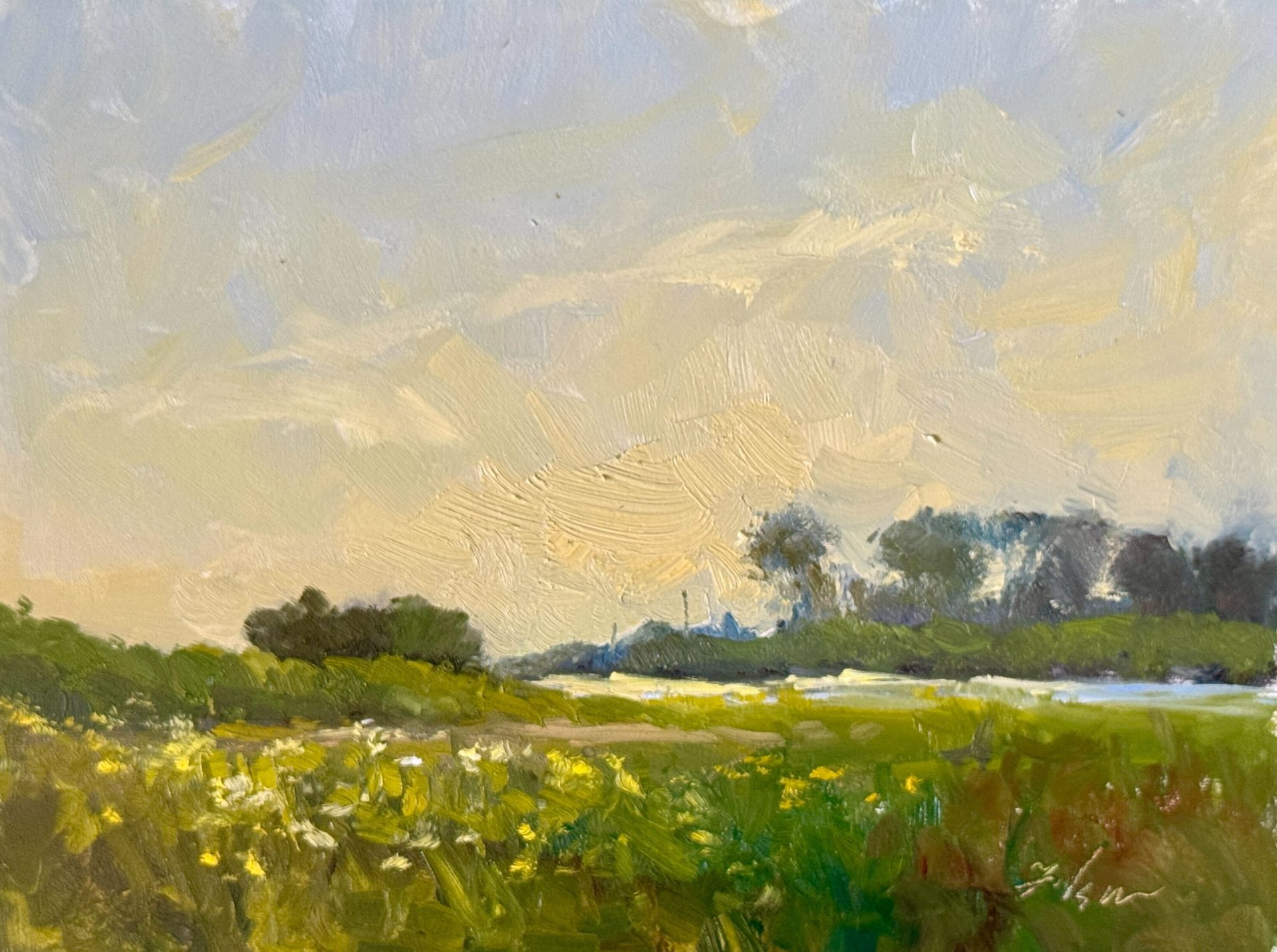 Step into the peaceful glow of an early morning with this 9x12 original oil painting, Golden Meadow Morning. Featuring a tranquil field of wildflowers under soft golden skies, this impressionist landscape captures the serenity of rural nature. Painted with rich texture and vibrant greens, it's perfect for lovers of countryside art, calming decor, and plein air painting. A beautiful addition to any rustic, farmhouse, or nature-inspired space.